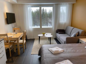 Hotel Lost in Levi, Kittilä